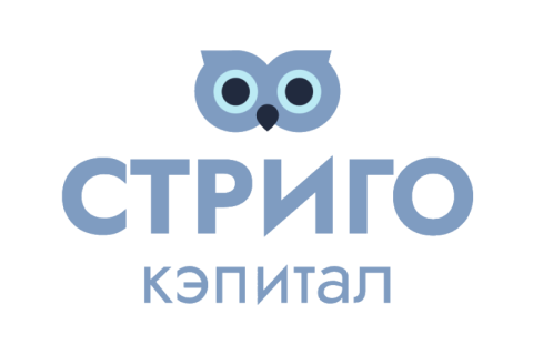 Дмитрий Комиссаров создал инвестиционный фонд для ИТ-стартапов «Стриго Кэпитал»